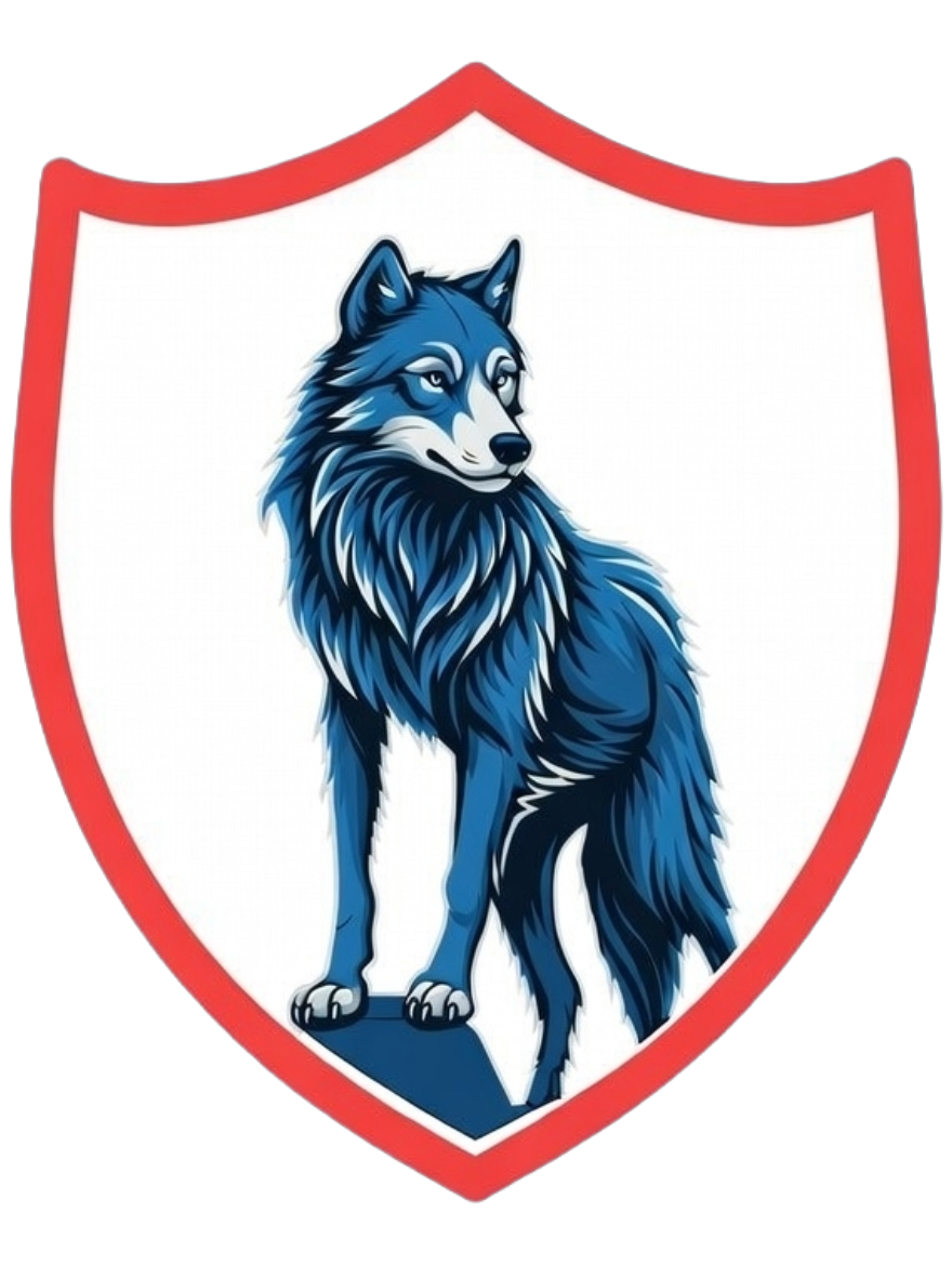 Iron Shield Solutions Logo